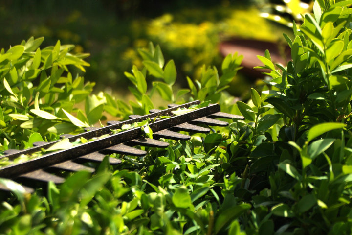 Mäharbeiten und Sonstige Leistungen